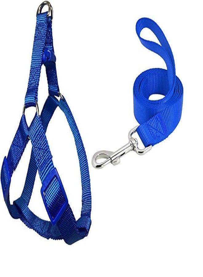 Pups&Pets Puppy 15 MM Nylon Adjustable Leash with 0.5 Inch Harness Set for Small & Medium Dogs - Blue - Image 1
